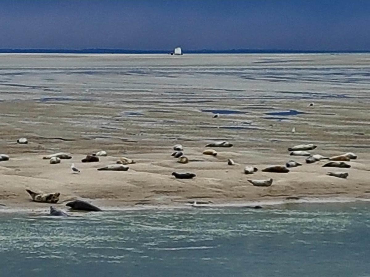 Les Coquillages, 2 Salles De Bain, Emplacement Ideal Berck Kültér fotó