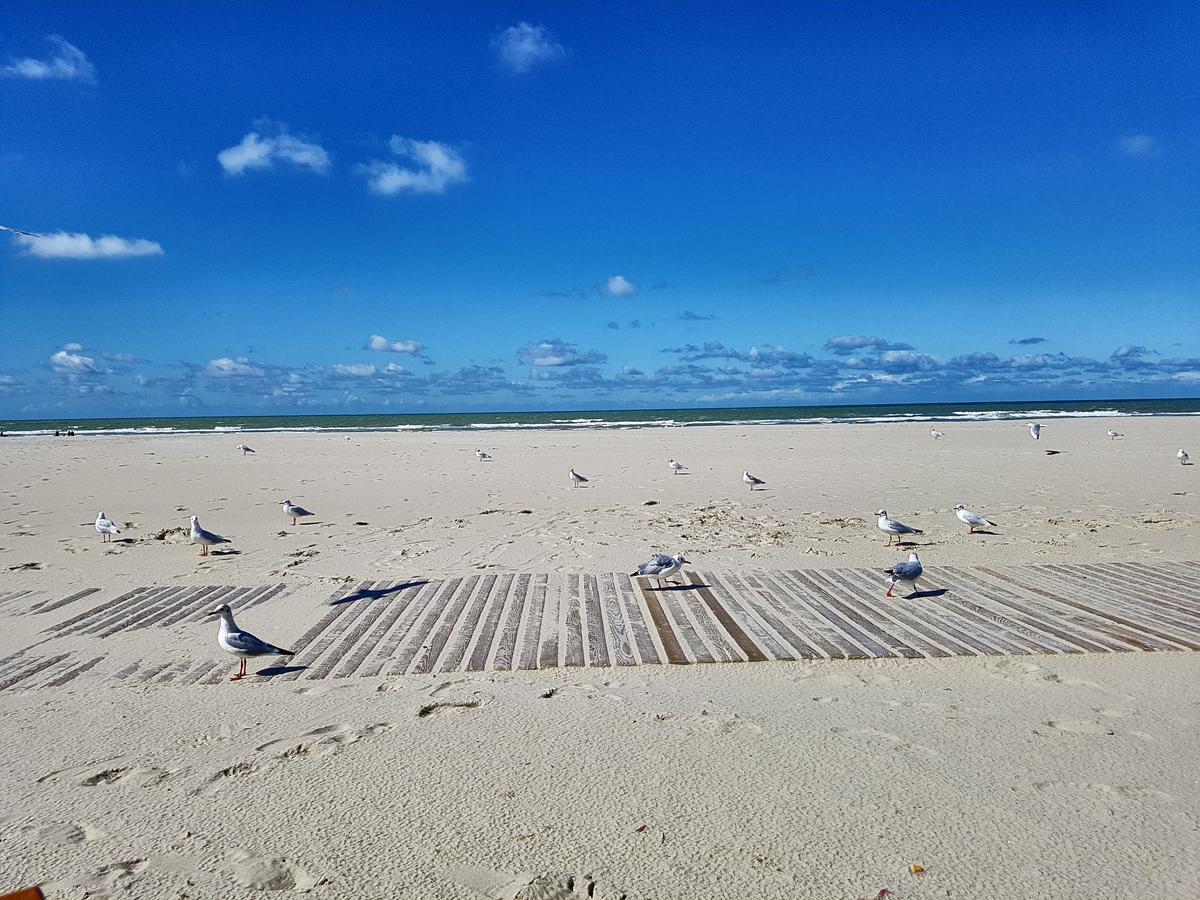 Les Coquillages, 2 Salles De Bain, Emplacement Ideal Berck Kültér fotó